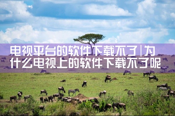 电视平台的软件下载不了