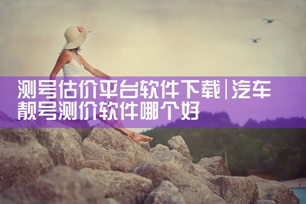 测号估价平台软件下载