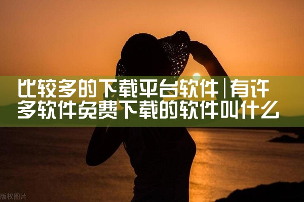 比较多的下载平台软件
