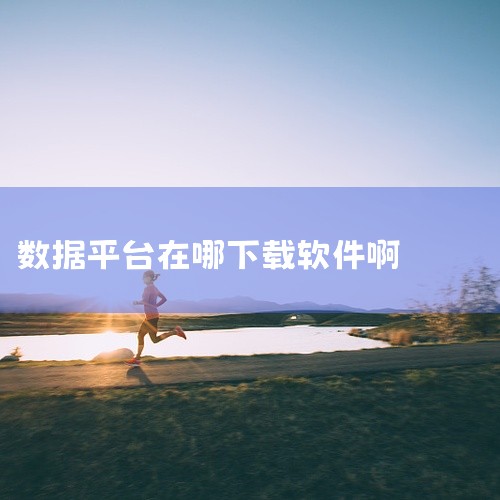 下载方法选择下载平台：可前往非凡软件站、小熊下载、华军软件园等正规软件下载平台。以华军软件园为例，该平台提供的万能数据分析软件版本为2.00，软件授权为免费软件，软件大小为6.92M，软件语言为简体中,