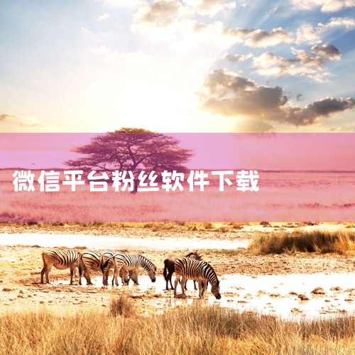 粉多多是一种粉丝增加软件，通过绑定微信、QQ空间、贴吧等账号信息，帮助用户快速增加粉丝数量。核心机制：...|