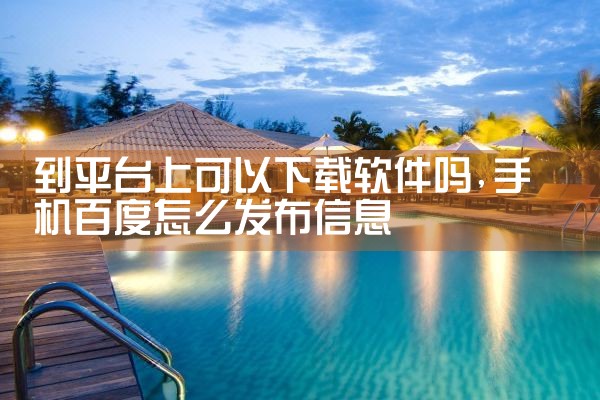 到平台上可以下载软件吗