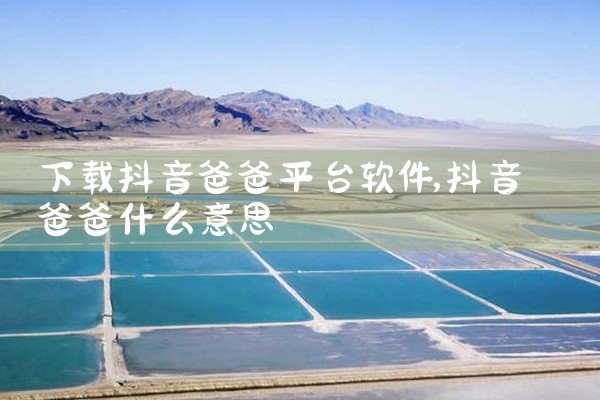 下载抖音爸爸平台软件