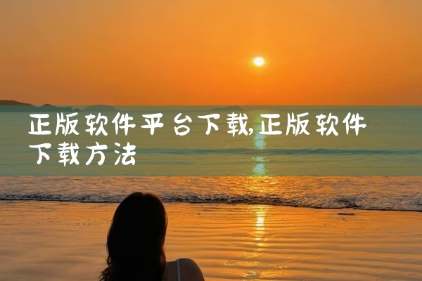 正版软件平台下载