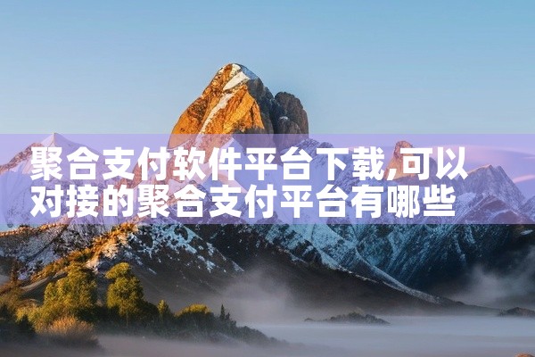 聚合支付软件平台下载
