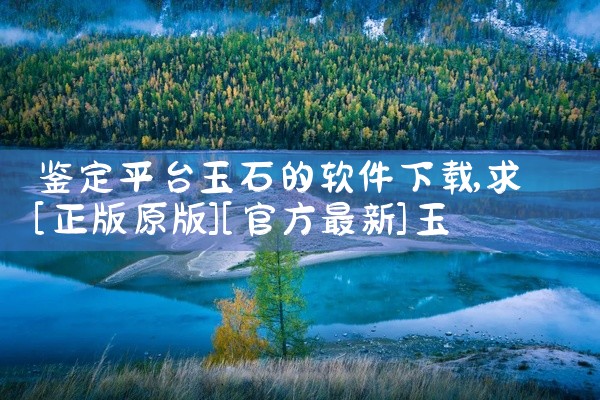 鉴定平台玉石的软件下载