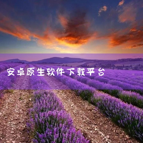 Google Play Store(Google Play商店)是谷歌官方的软件应用商店，原名为Android Market，Google Play Store电脑版拥有上架软件数十万款，下载量更是突|