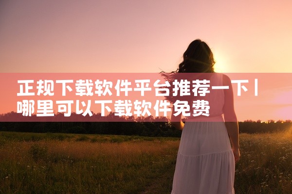 人防平台软件下载安装官网