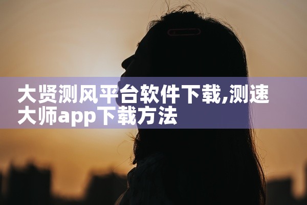 大贤测风平台软件下载