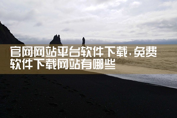 官网网站平台软件下载