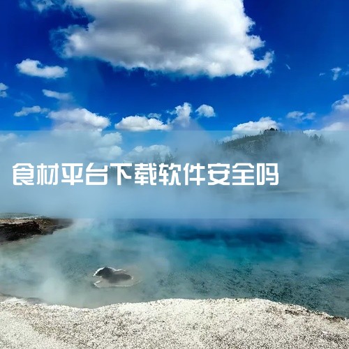 正规平台经过相关部门审核，在信息安全、内容合规等方面有一定保障。它们会采用加密技术保护用户数据传输安全，对上传和发布的内容进行严格筛选，避免违规信息传播。同时，正规平台也会不断更新技术，修复可能出现的|