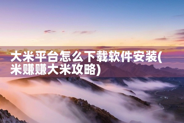大米平台怎么下载软件安装
