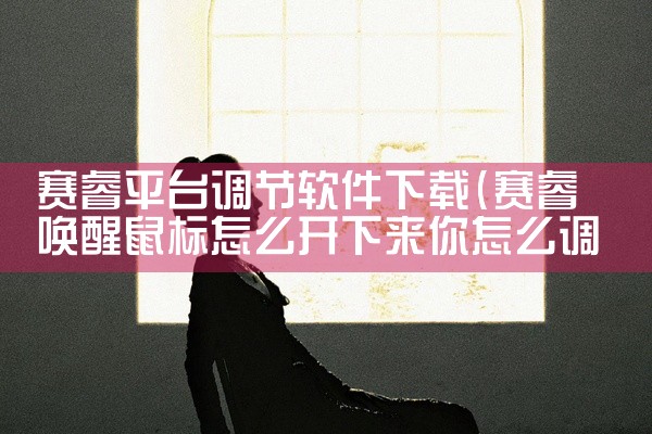 赛睿平台调节软件下载