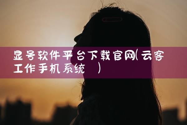 显号软件平台下载官网