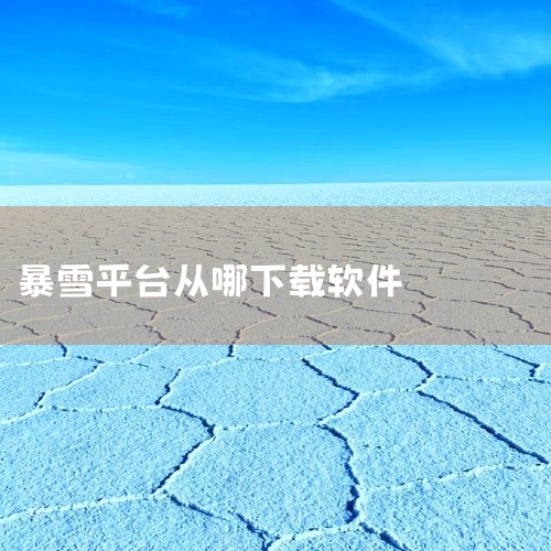 第一、 在搜索引擎中输入“战网”进行搜索，并点击进入官方网站。第二、 在官网首页顶部选择“游戏”选项，展开列表后点击“下载”。第三、 在打开的下载页面底部，点击“暴雪战网应用程序安装程序”的下载按钮，,