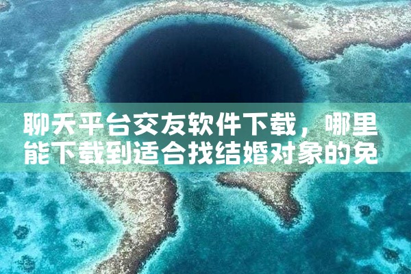 聊天平台交友软件下载