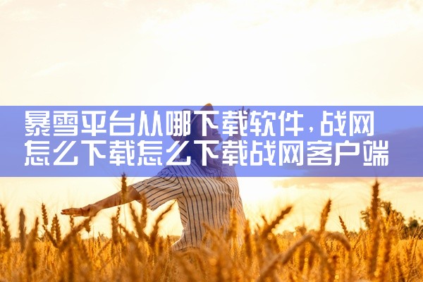 暴雪平台从哪下载软件