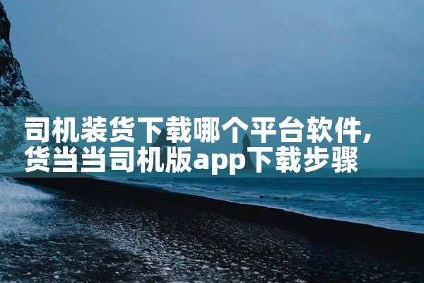 司机装货下载哪个平台软件